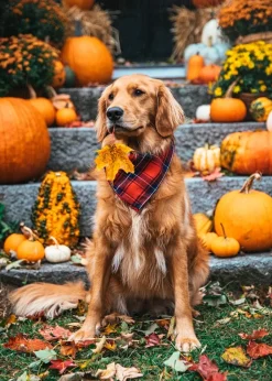 Adventure Bandanas^Kiel James Patrick Apple Cider Flandana
