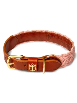Leashes & Collars^Kiel James Patrick Bermuda Sand Beach Dog Collar