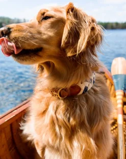 Leashes & Collars^Kiel James Patrick Brenton Cay Dog Collar