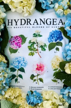 Shirts^Kiel James Patrick Hydrangea Blooms T-Shirt- Women'S