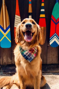 Adventure Bandanas^Kiel James Patrick Montauk Patchwork Madras Bandana