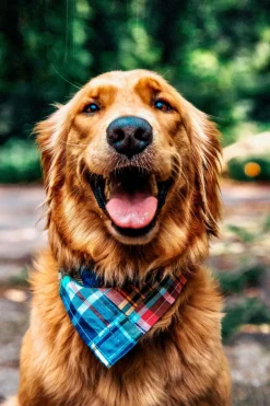 Adventure Bandanas^Kiel James Patrick Montauk Patchwork Madras Bandana