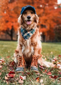 Adventure Bandanas^Kiel James Patrick New England House Flandana