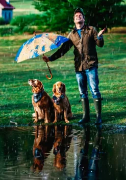Umbrellas^Kiel James Patrick The Sailing Capital Of The World Umbrella